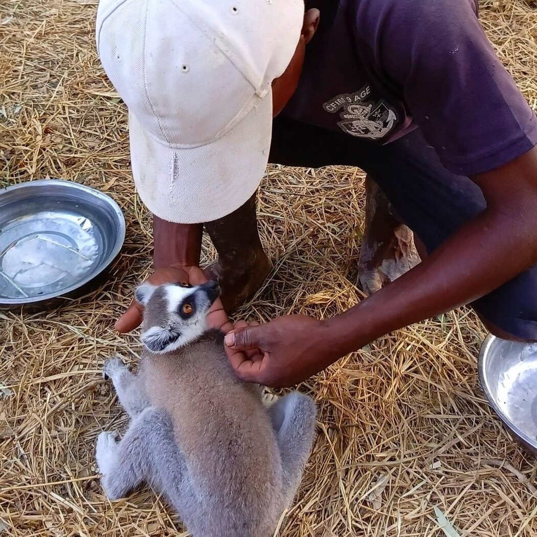 649040560 870368716046189 389731188946779117 n