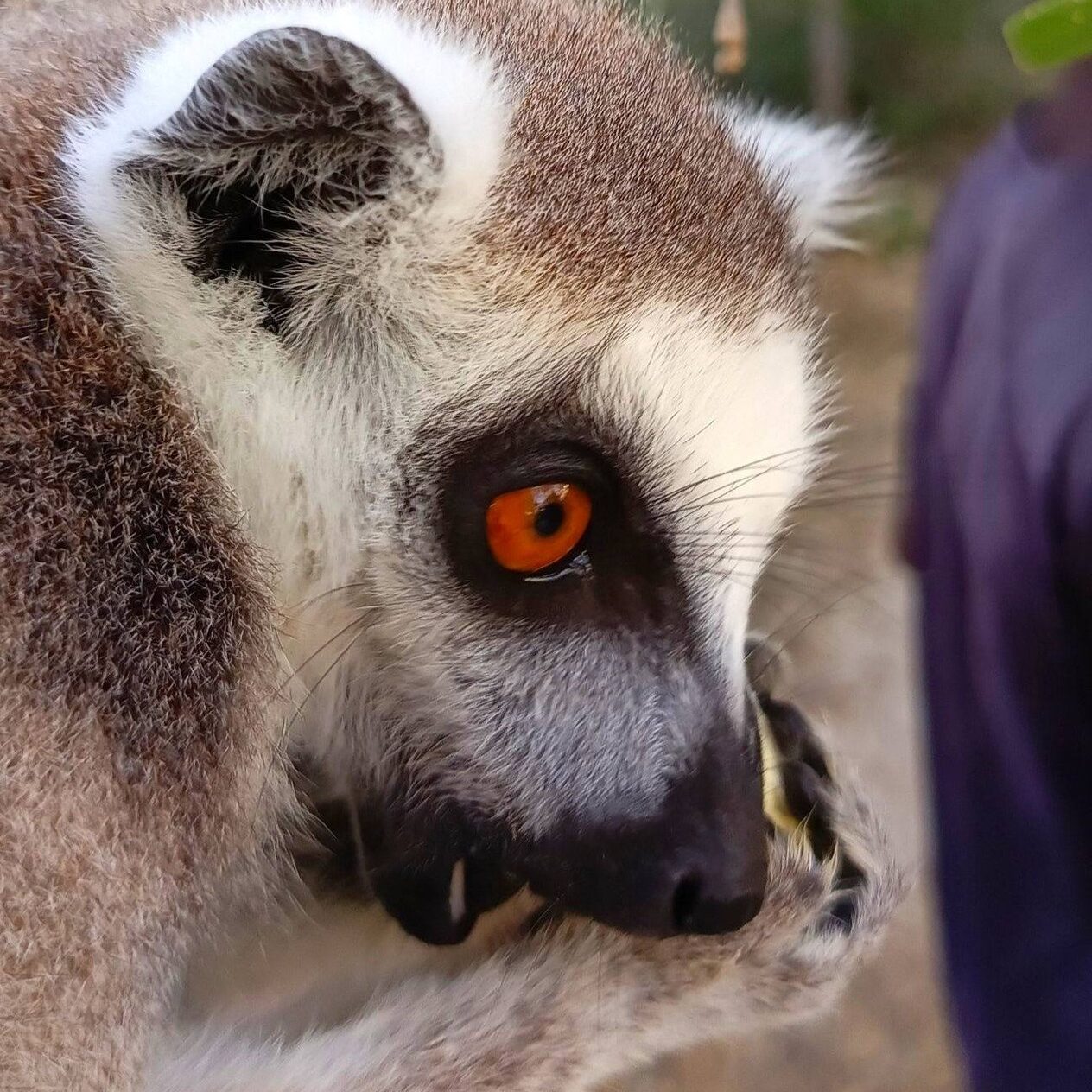 649046561 870368662712861 4810606233377493345 n